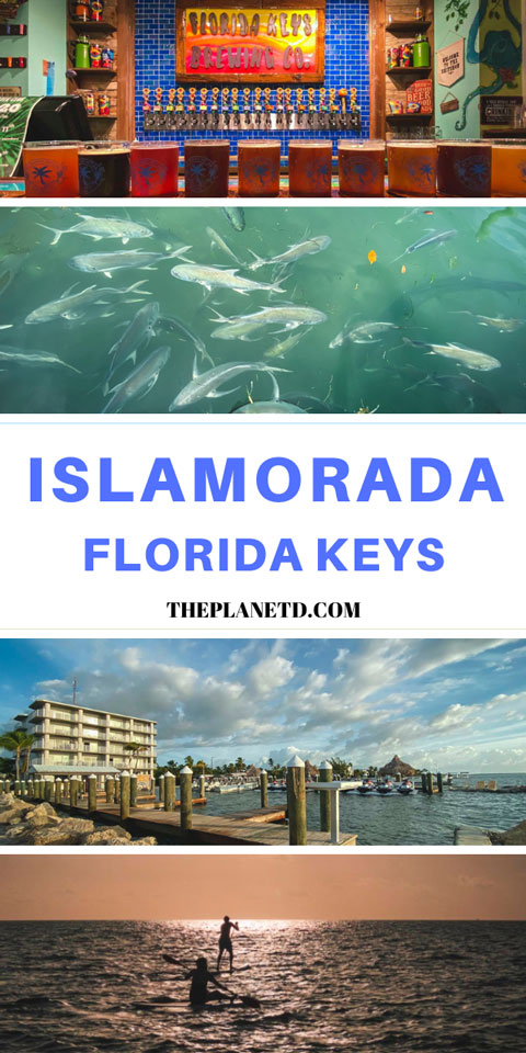 things to do in islamorada florida keys