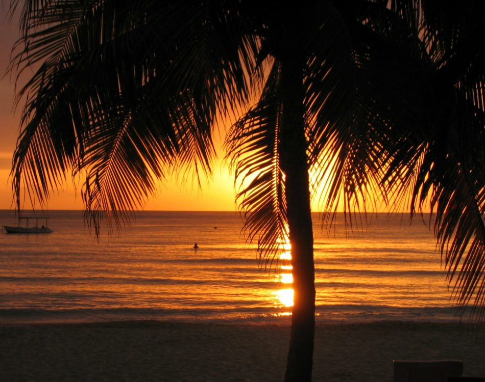 34 Best Things to do in Jamaica