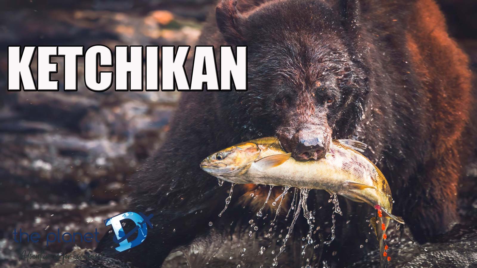things to do in ketchikan video