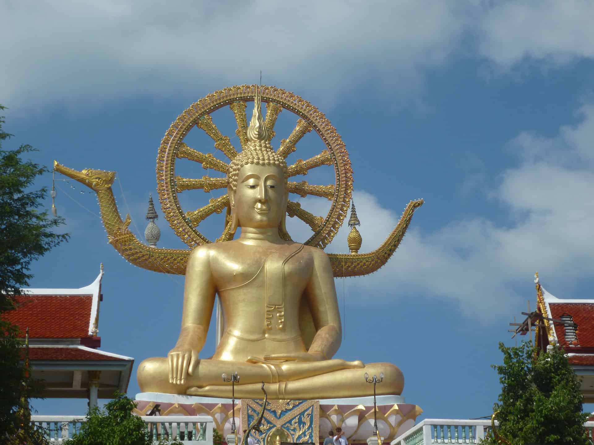 things to do in koh samui big buddha