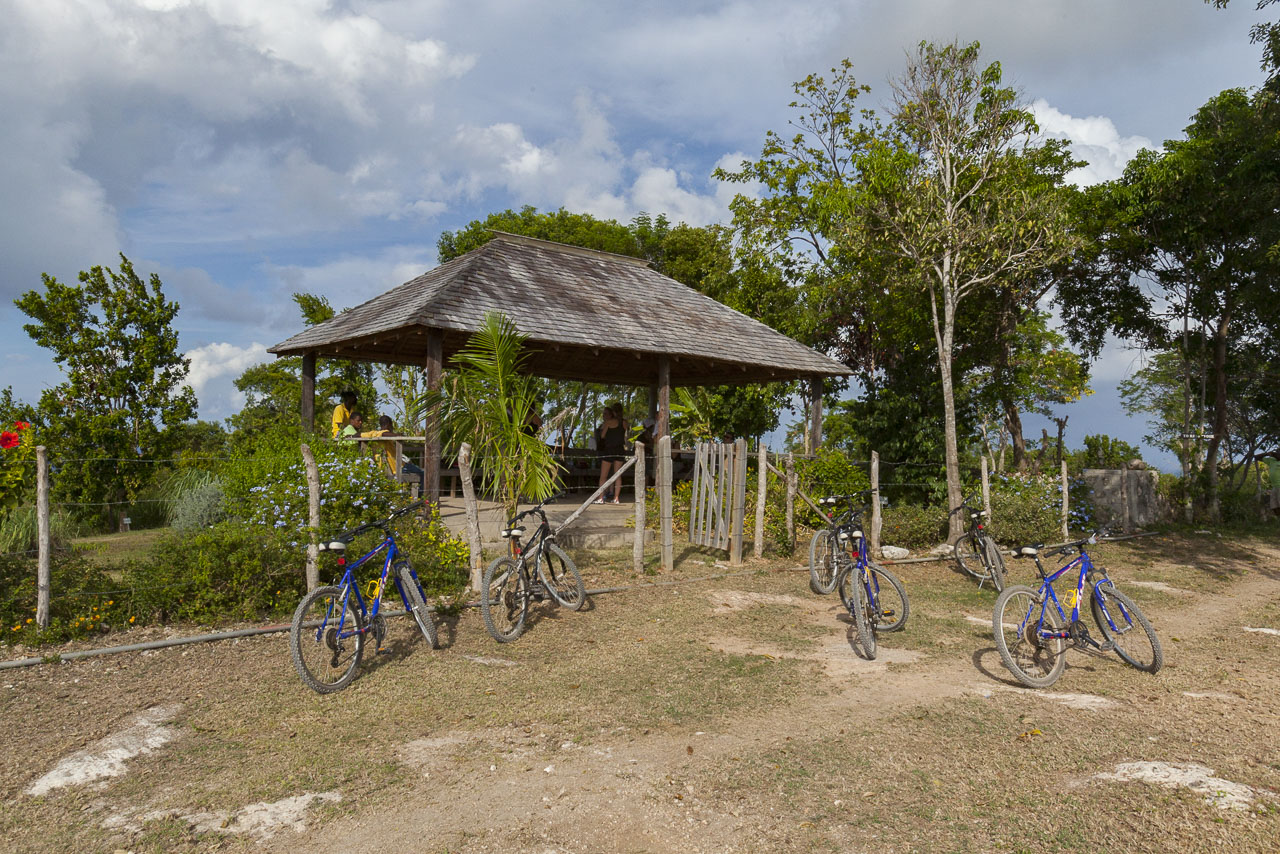 Things to do in Montego Bay: Braco Hike and Bike