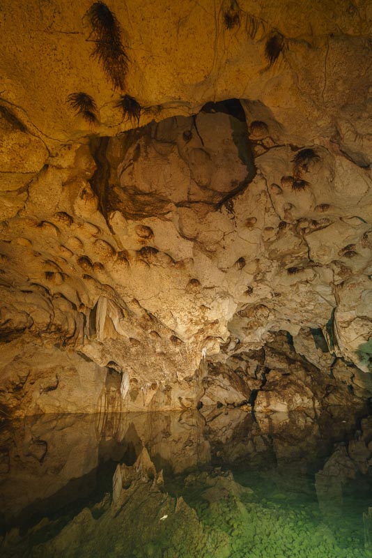 montego bay excursions green grotto caves