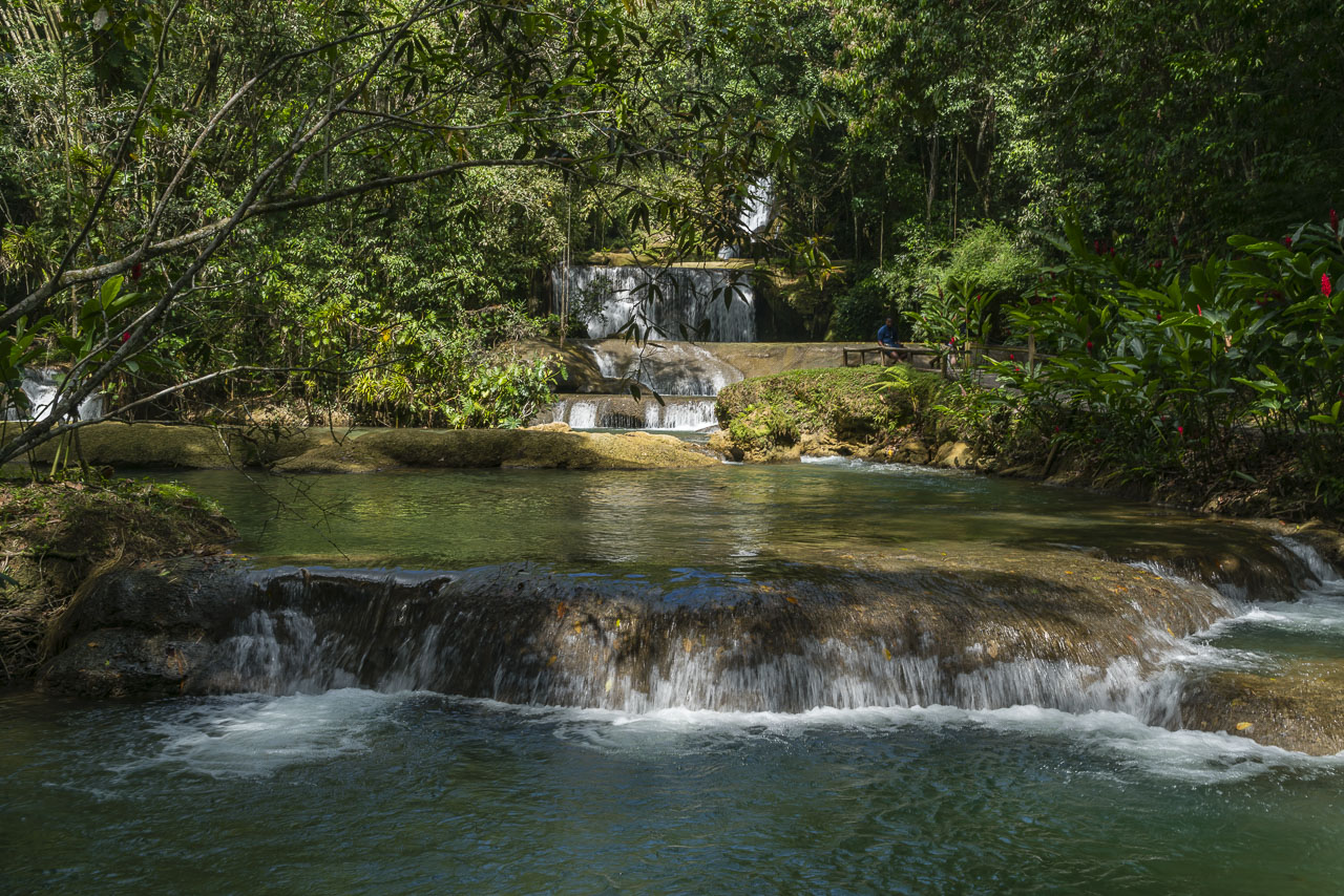 what to do in montego bay waterfalls