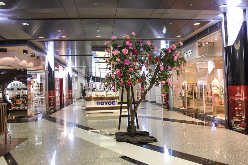 17 Thrilling things to do in Moscow Travel your way Best things to