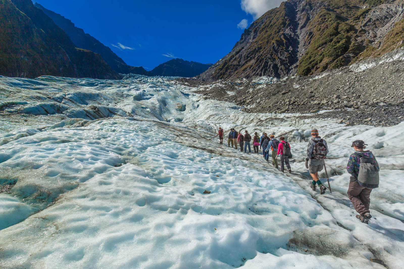 new zealand things to do fox glacier