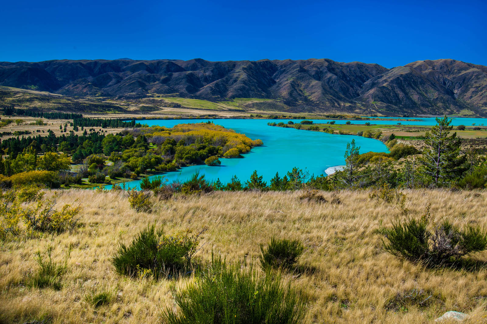 things to do in new zealand new zealand's south island