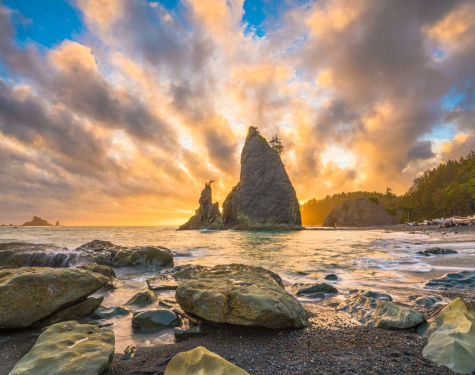 22 Amazing Things to do in Olympic National Park