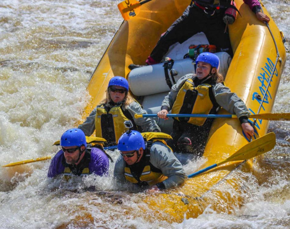 26 Most Epic and Thrilling Things to Do in Ontario