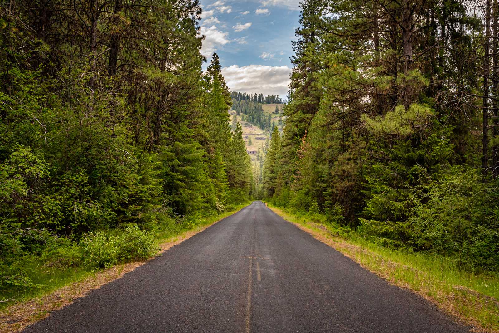 oregon things to do wallowa mountain loop road in Wallowa Whitman National Forest