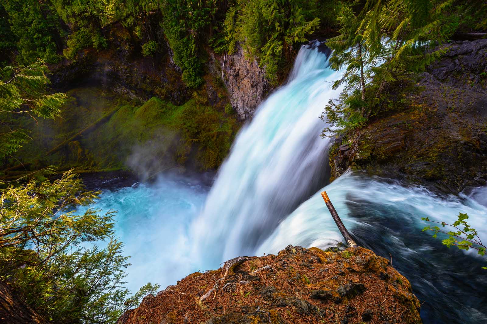 oregon things to do willamette national forest