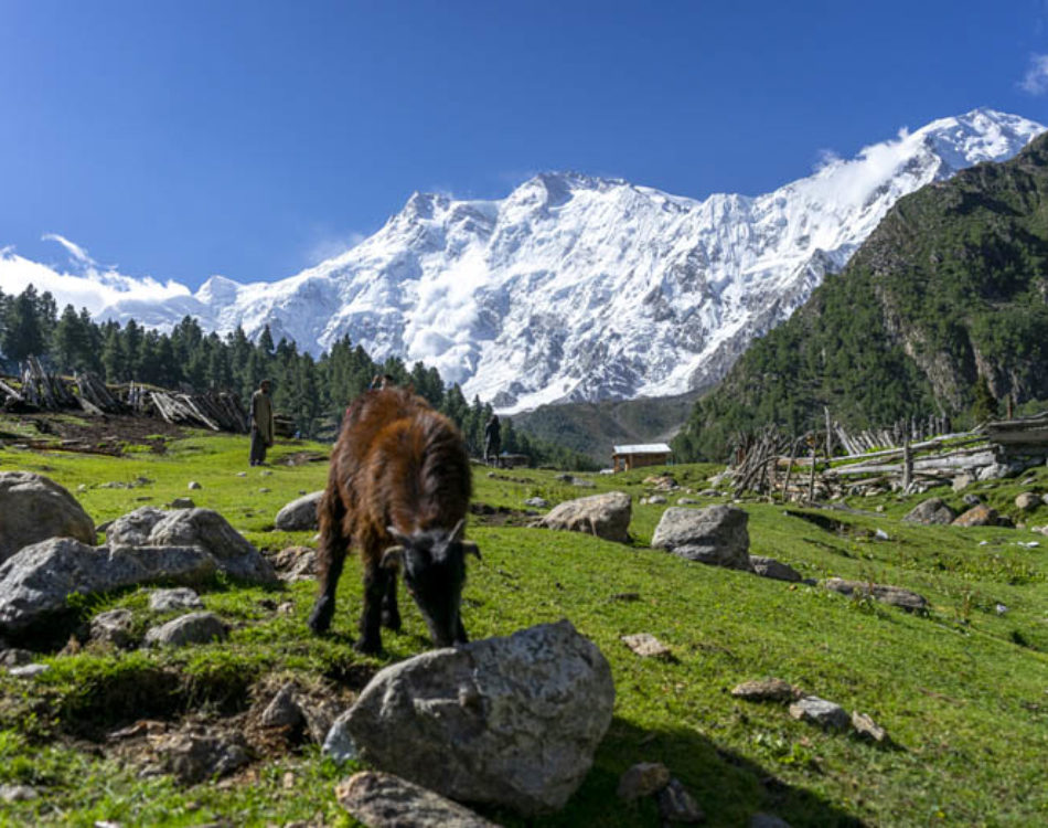 13 Amazing Things to do in Pakistan