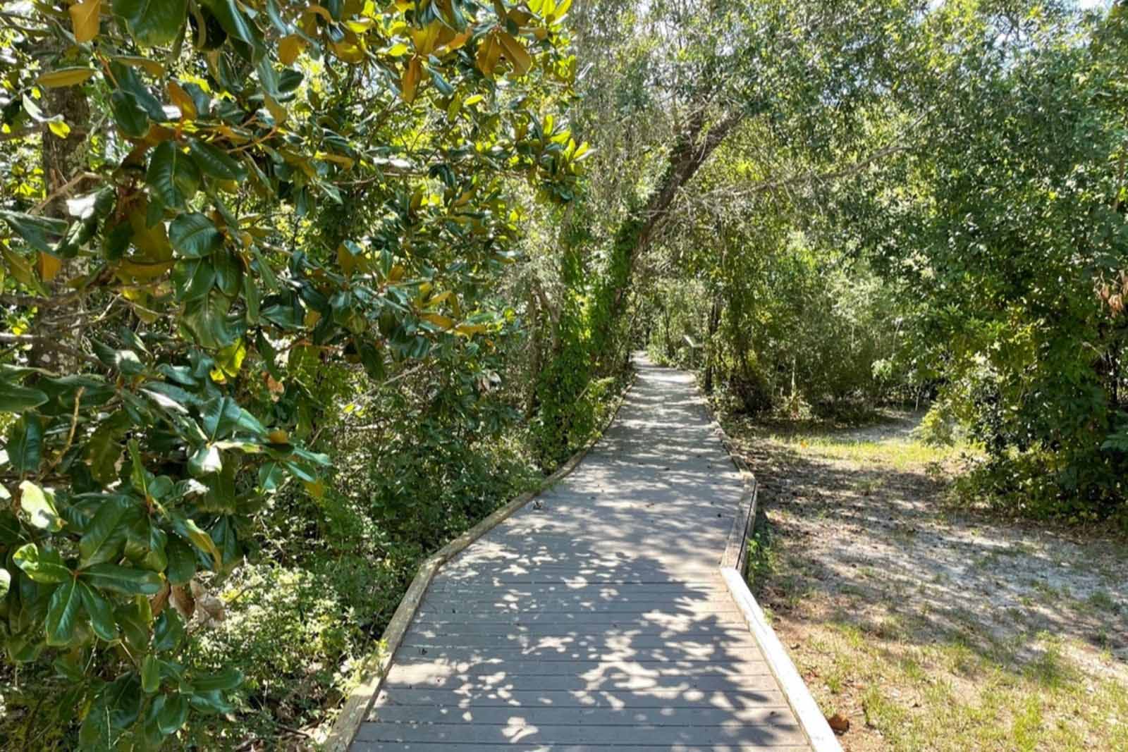 Naval Live Oaks Nature Preserve is a great place for hiking and seeing wildlife in Pensicola Beach