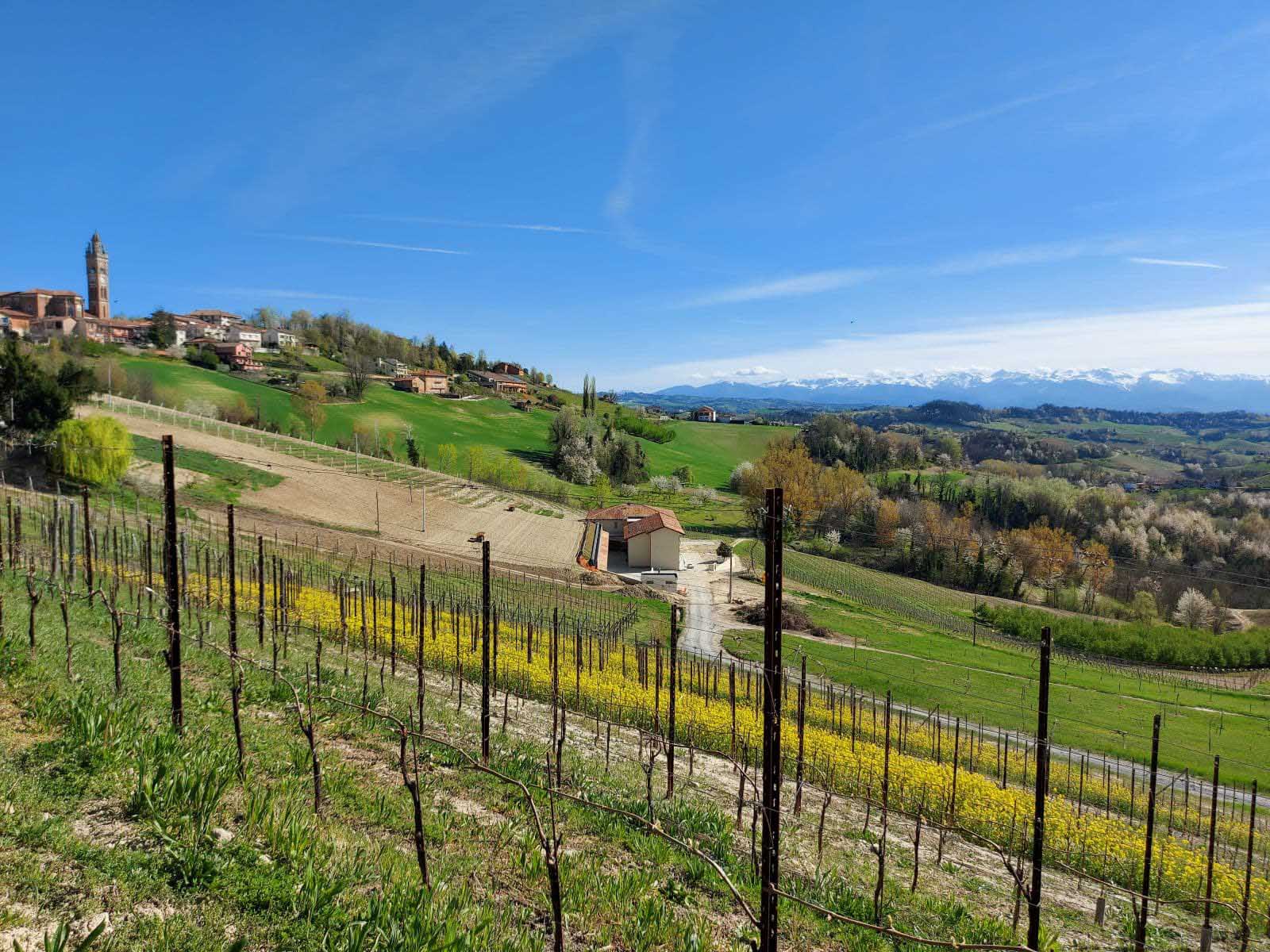 Best things to do in Piedmont Italy Langhe Wine Region