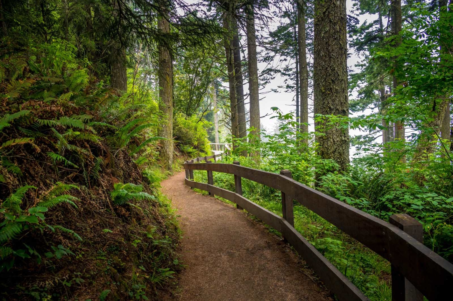 33 Best Things to do in Portland, Oregon - The Planet D