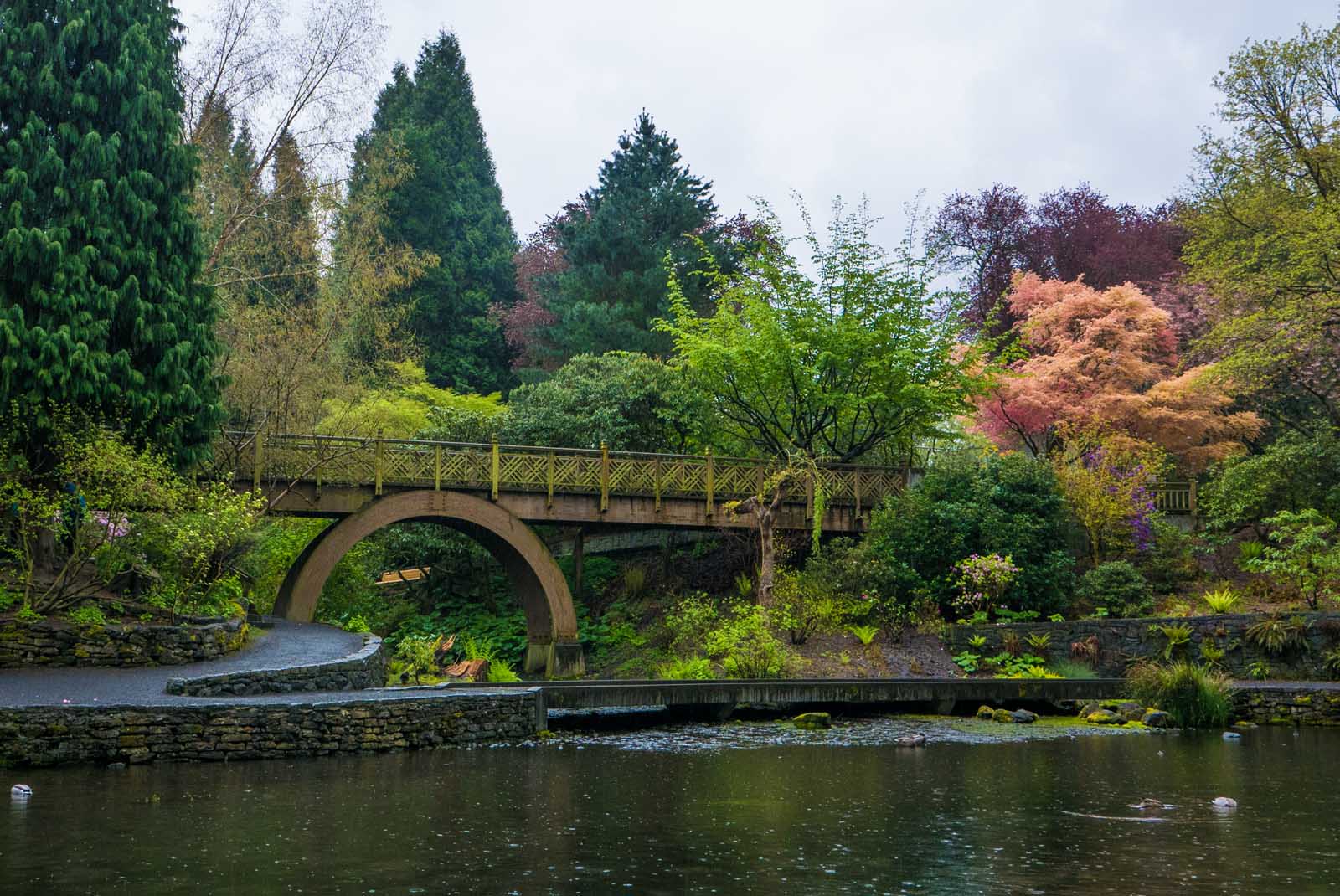things to do in portland Crystal Springs Rhododendron Garden,