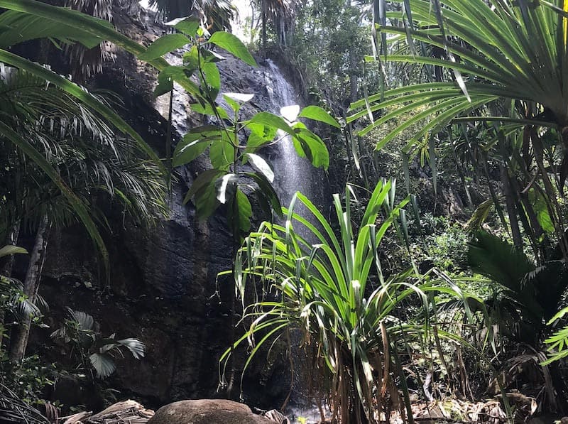 what to do in seychelles praslin waterfall