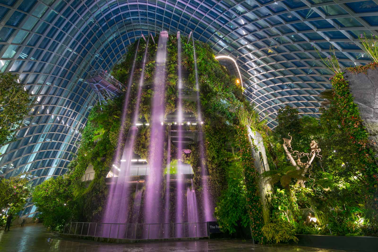 what to do in singapore cloud forest