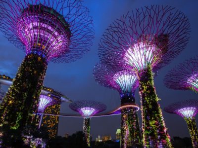 Singapore Travel Guide (Updated 2021) | The Planet D