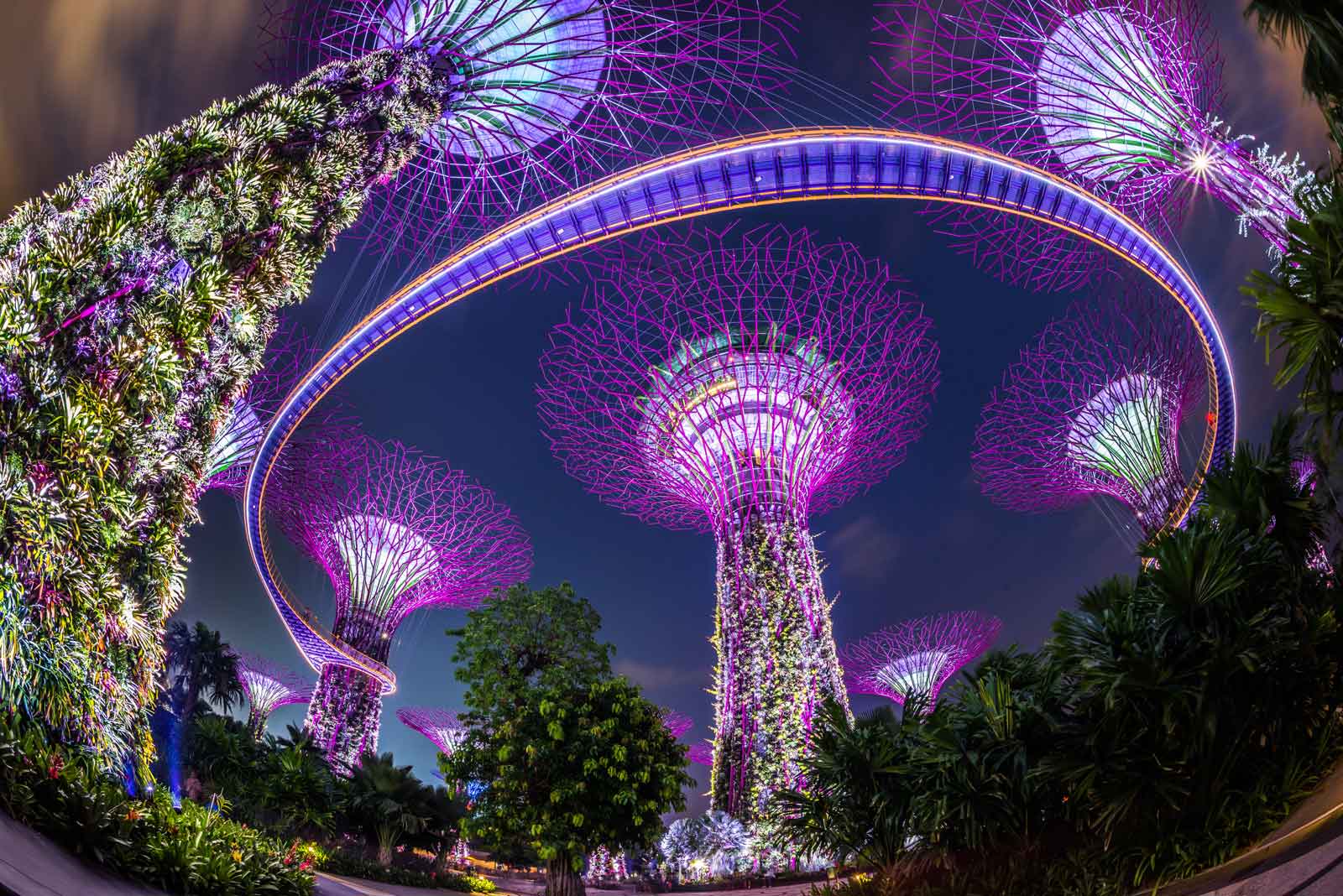 top attractions in singapore supertree grove
