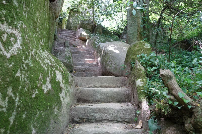 Sintra moss walkway