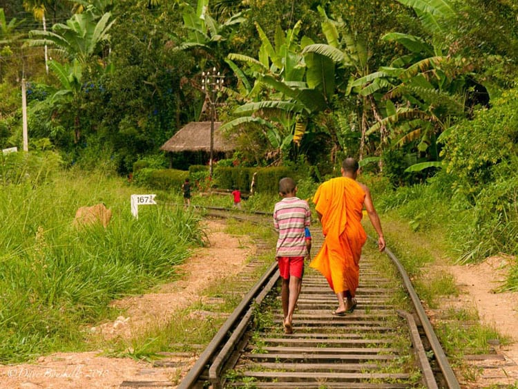 what to do in sri lanka meet the locals