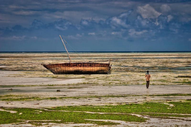 what to do in Tanzania Zanzibar