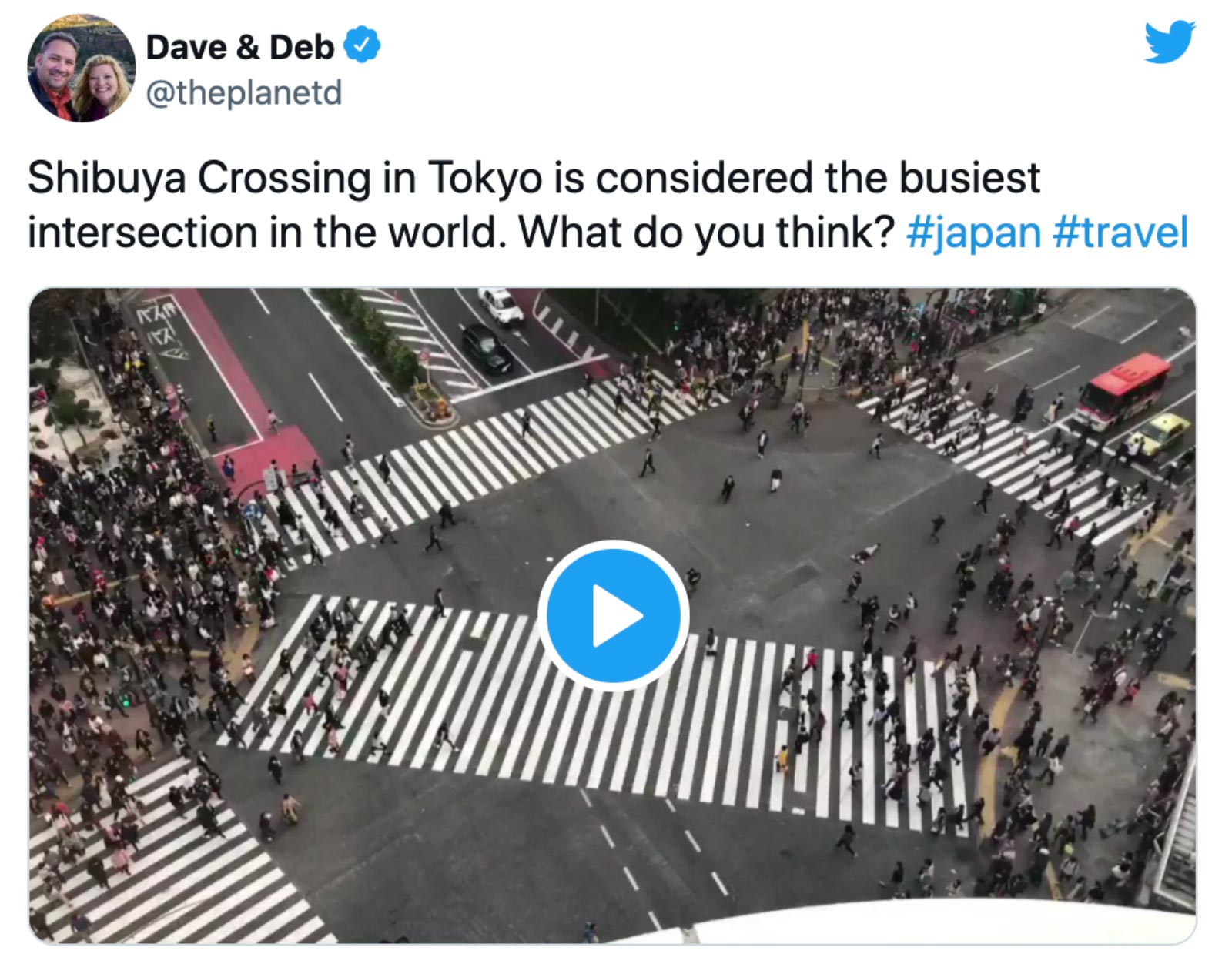 things to do in tokyo, shibuya crossing view