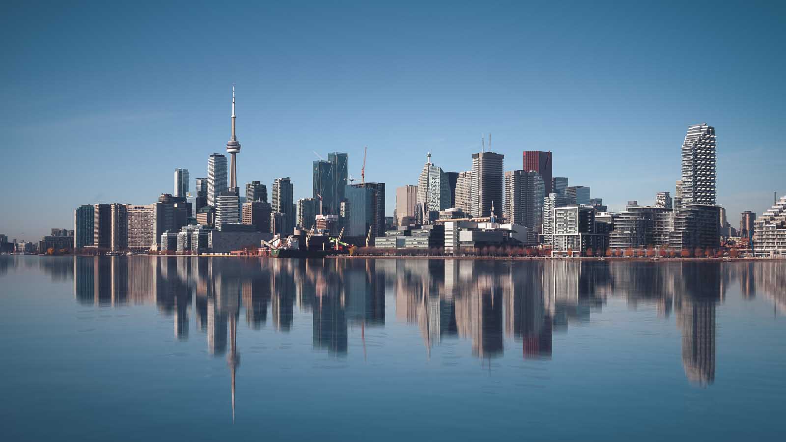 best things to bash  successful  toronto canada