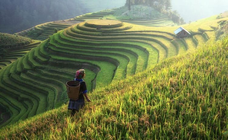 vietnam things to do sapa