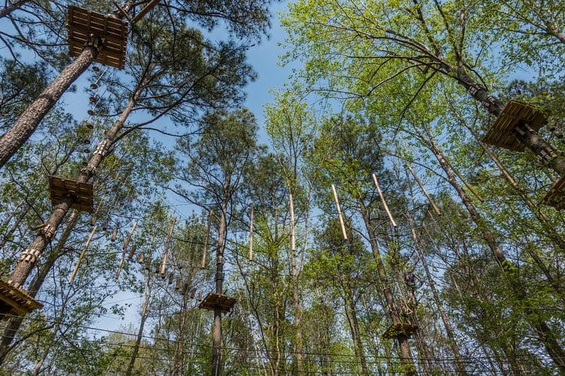 The Best Things To Do In Virginia Beach Off Virginia Beach Adventure Park One Of Many Obstacle Courses