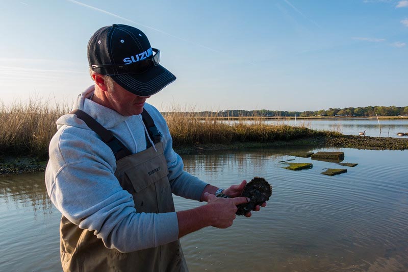 what to do in Virginia Beach oyster tour