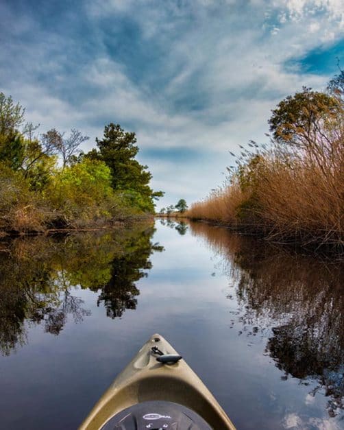 what to do in Virginia Beach kayaking