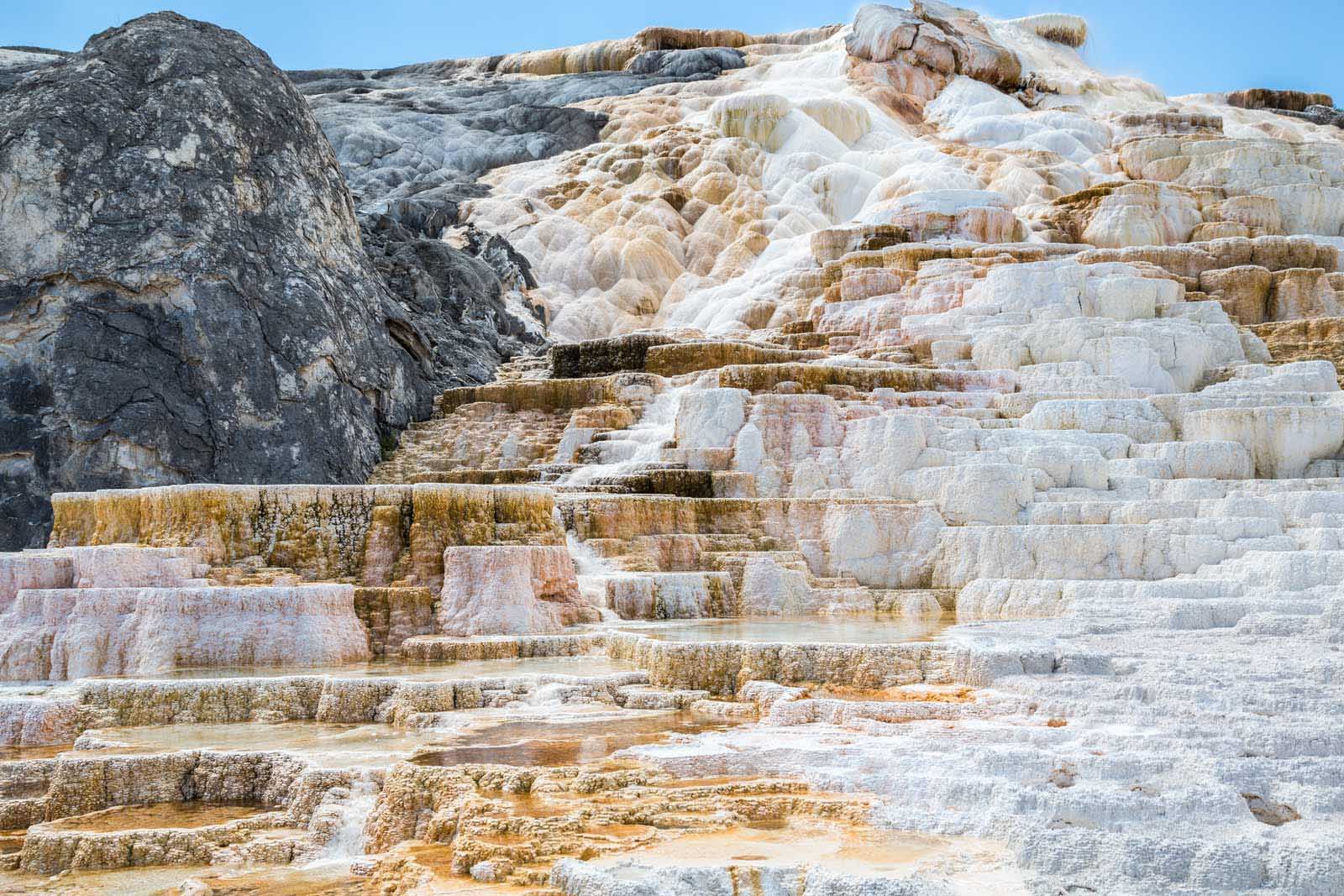 best things to do in yellowstone national park mammoth hot springs
