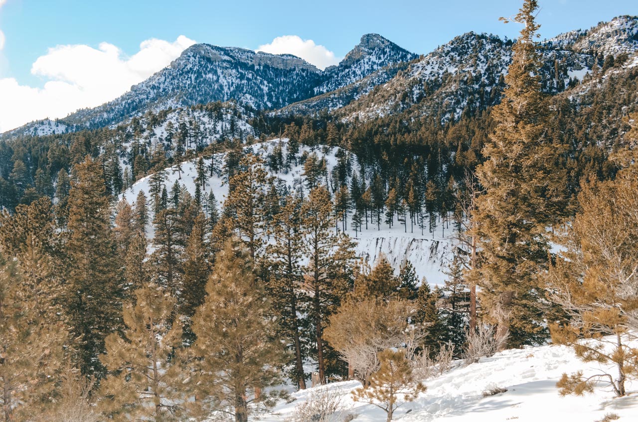 things to do outside of las vegas | mount charleston