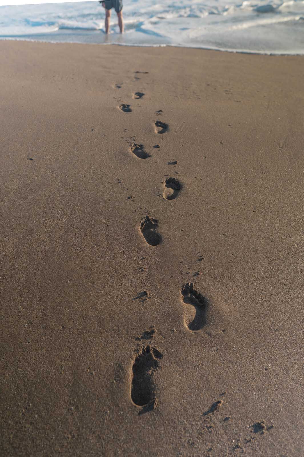 footsteps beach south padre Island texas