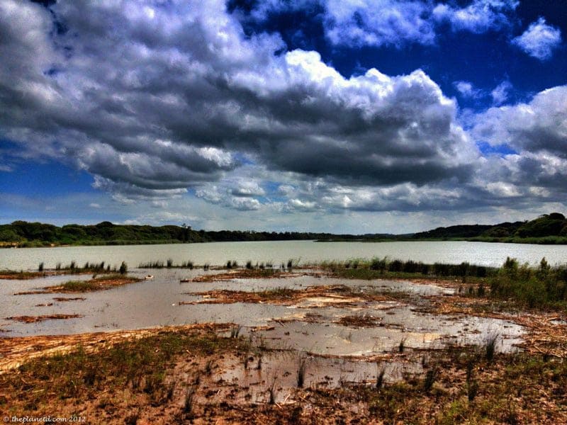 what to do in South Africa iSimangaliso Wetlands things to do in South Africa