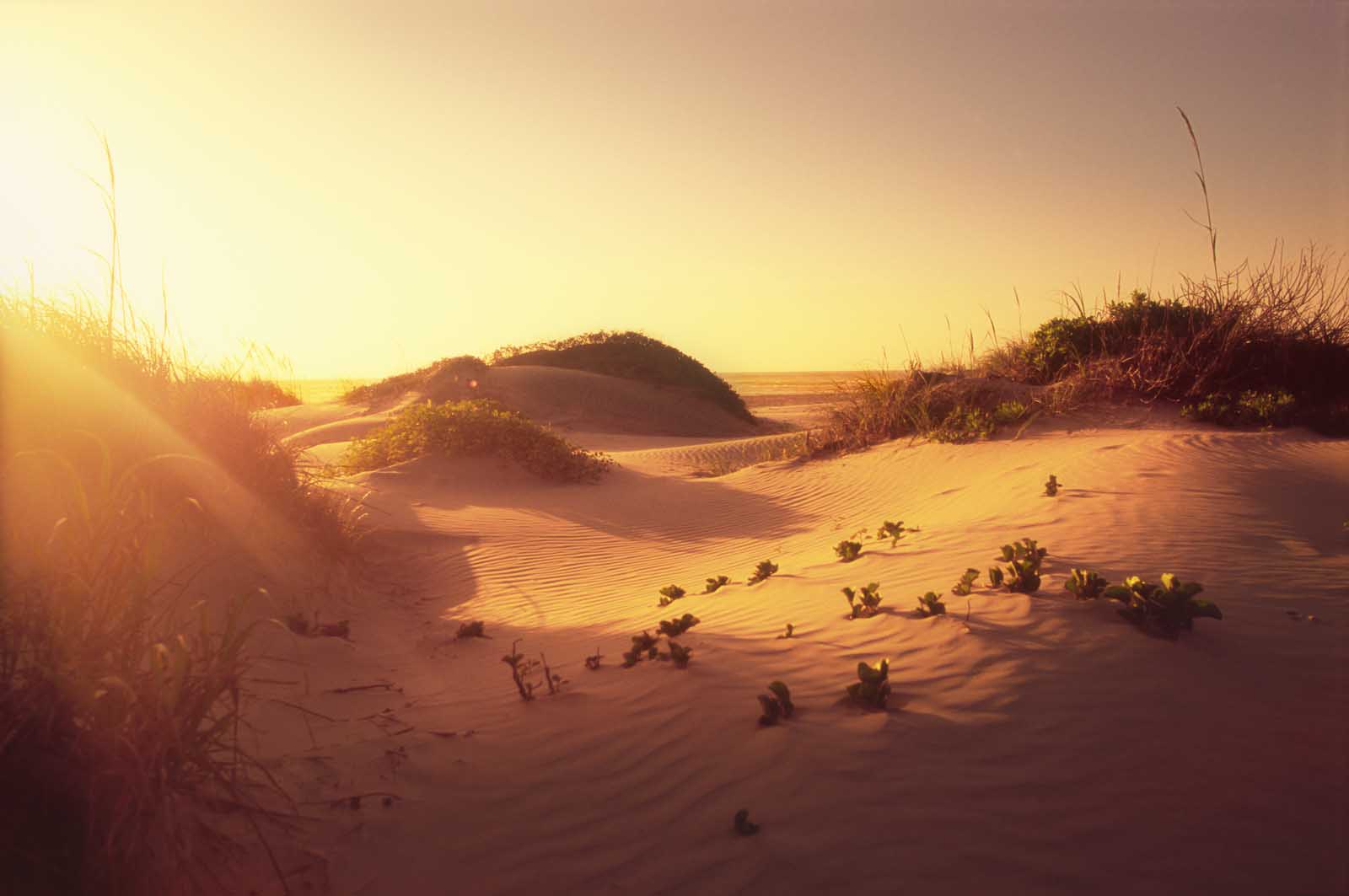 south padre Island texas sand dunes
