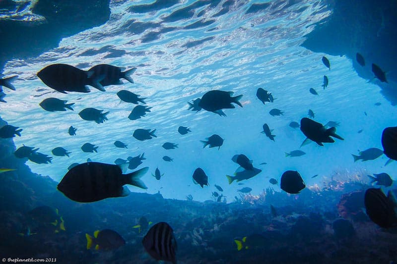 thunderball grotto underwater aquarium