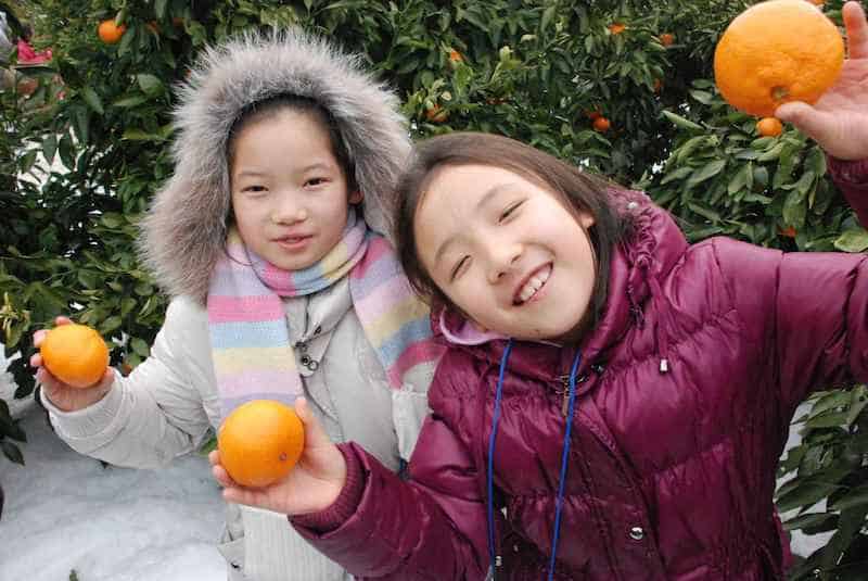 travel photography roulette oranges