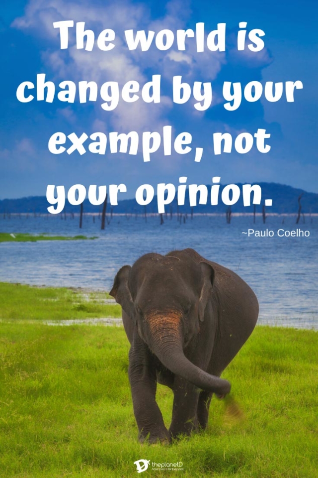 Travel quotes | Be inspired by this list of the most inspiring quotes of all time