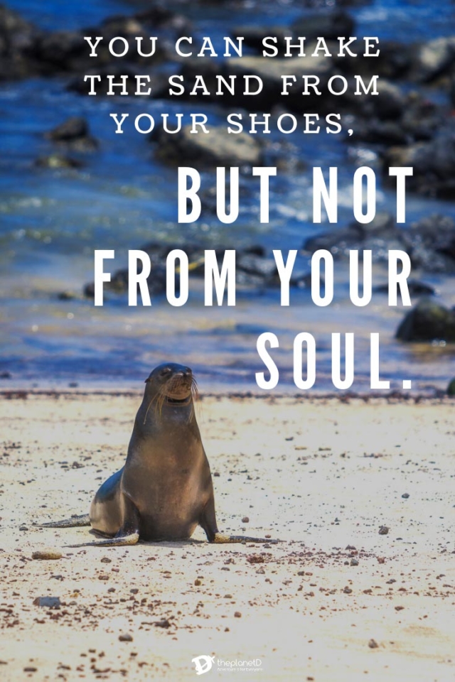 You can shake the sand from your shoes, but not from your soul.