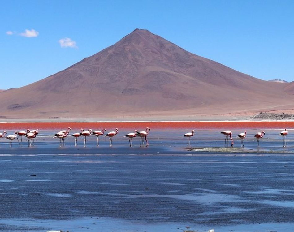 10 Reasons You Should Travel To Bolivia