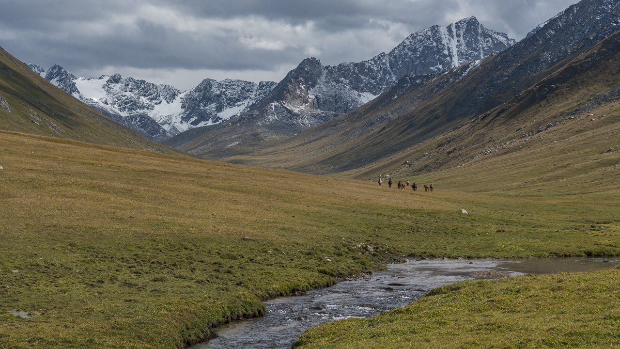 trekking Kyrgyzstan Wild Horses