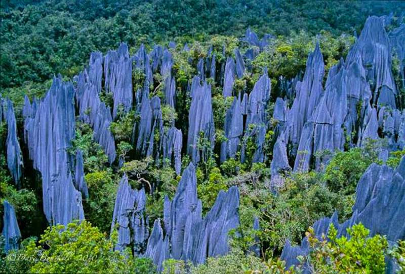 treks in the world  pinnacles of borneo