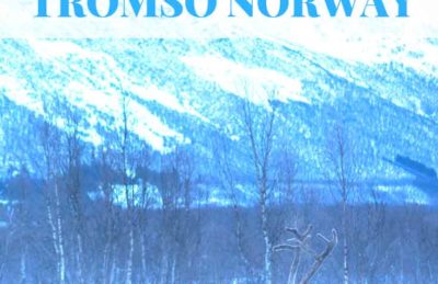 things to do in Tromso Norway