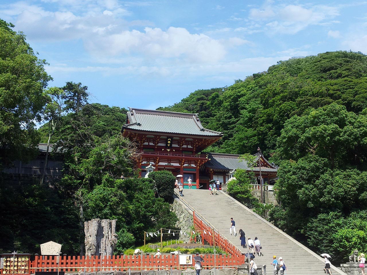 things to do in kamakura | hachimangu shrine