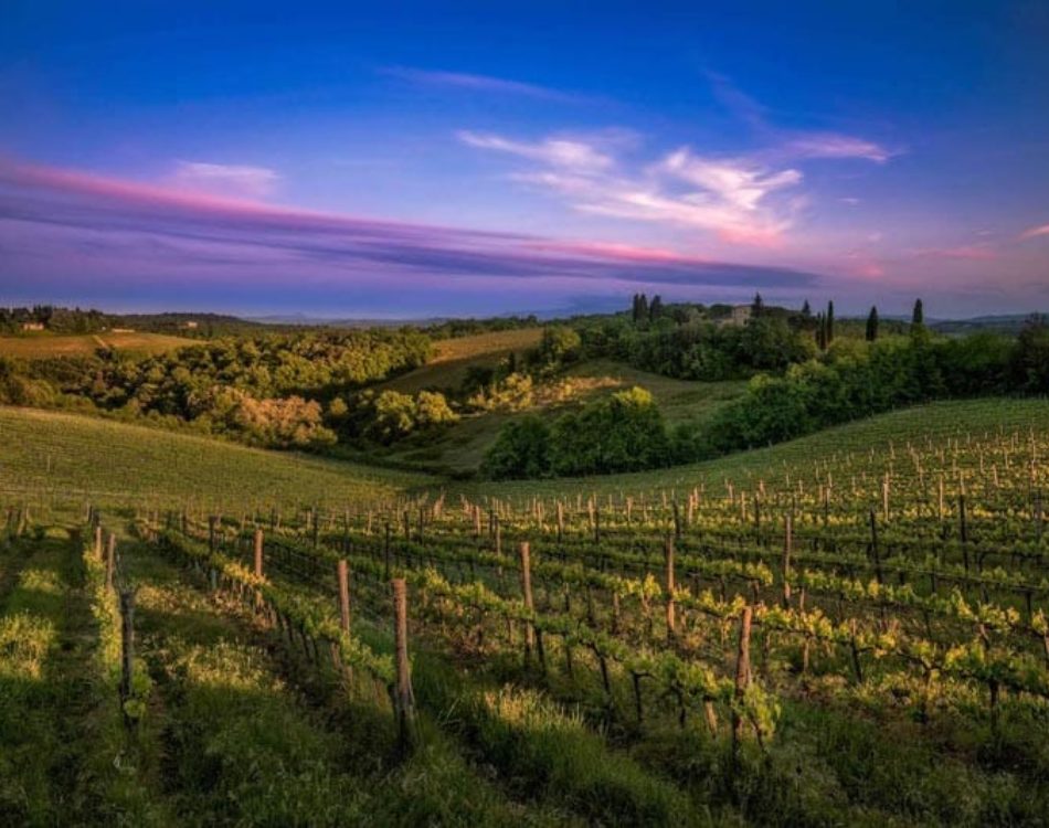 Tuscany Dreams – Stay in a Tuscan Villa