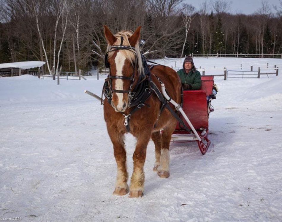 10 Valentine’s Day Getaways In Ontario, Canada