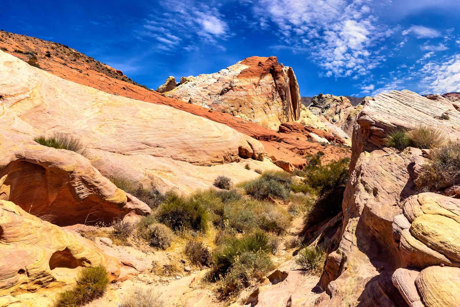 Crazy Hill Trail in Valley of Fire Nevada
