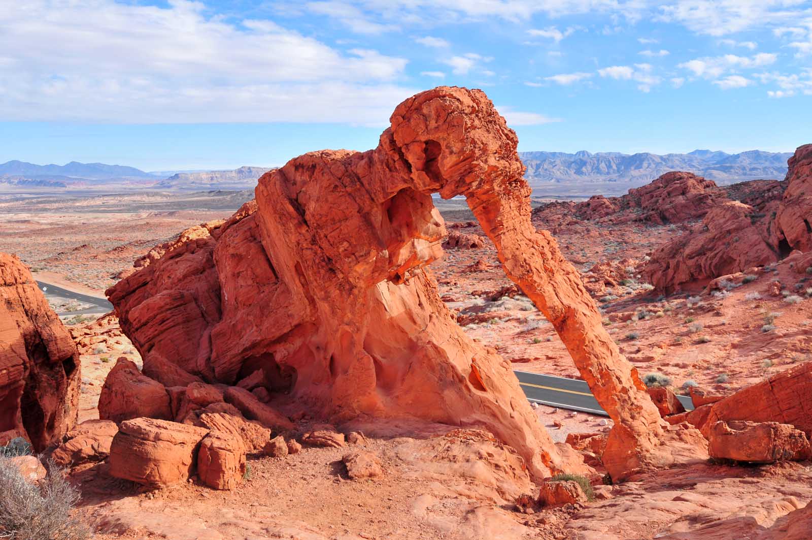 Things to do in the Valley of Fire elephant Rock
